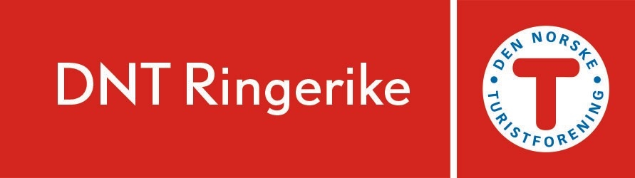 company logo image