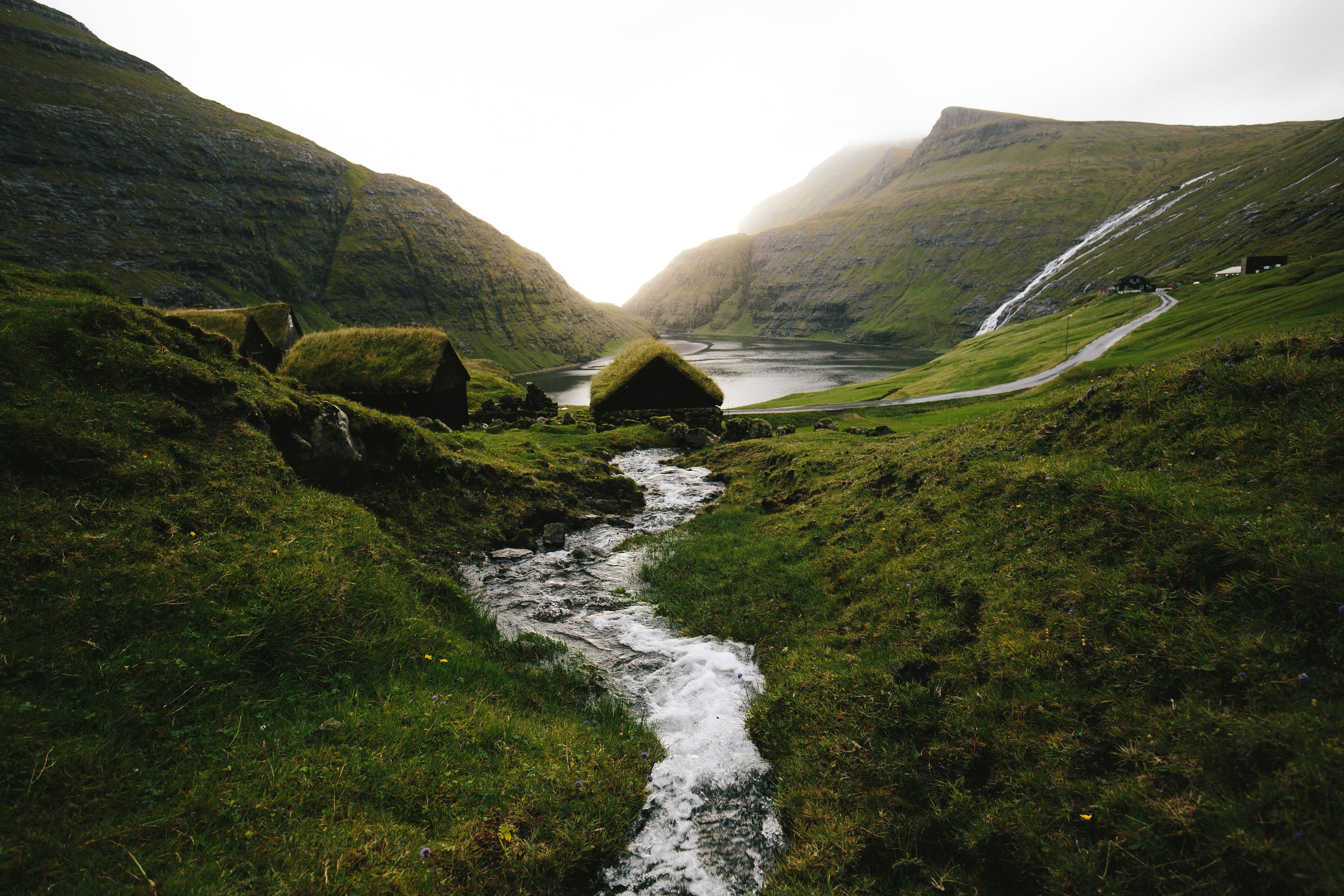 company cover image