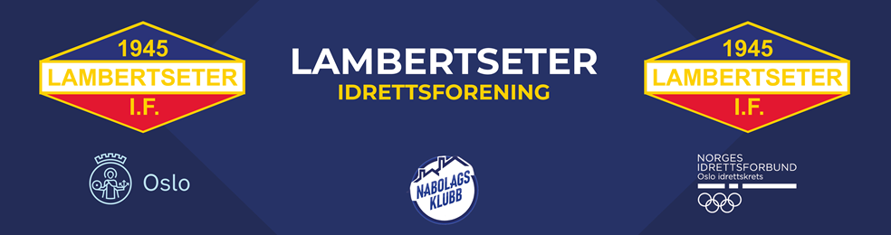 company logo image 