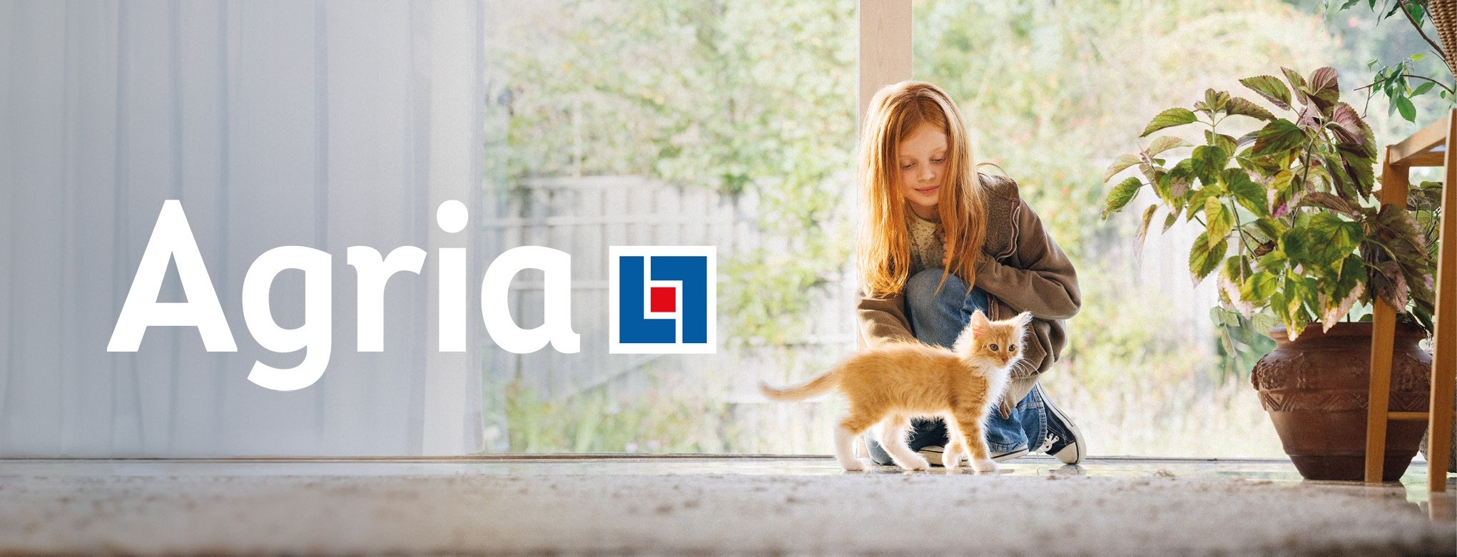 company cover image