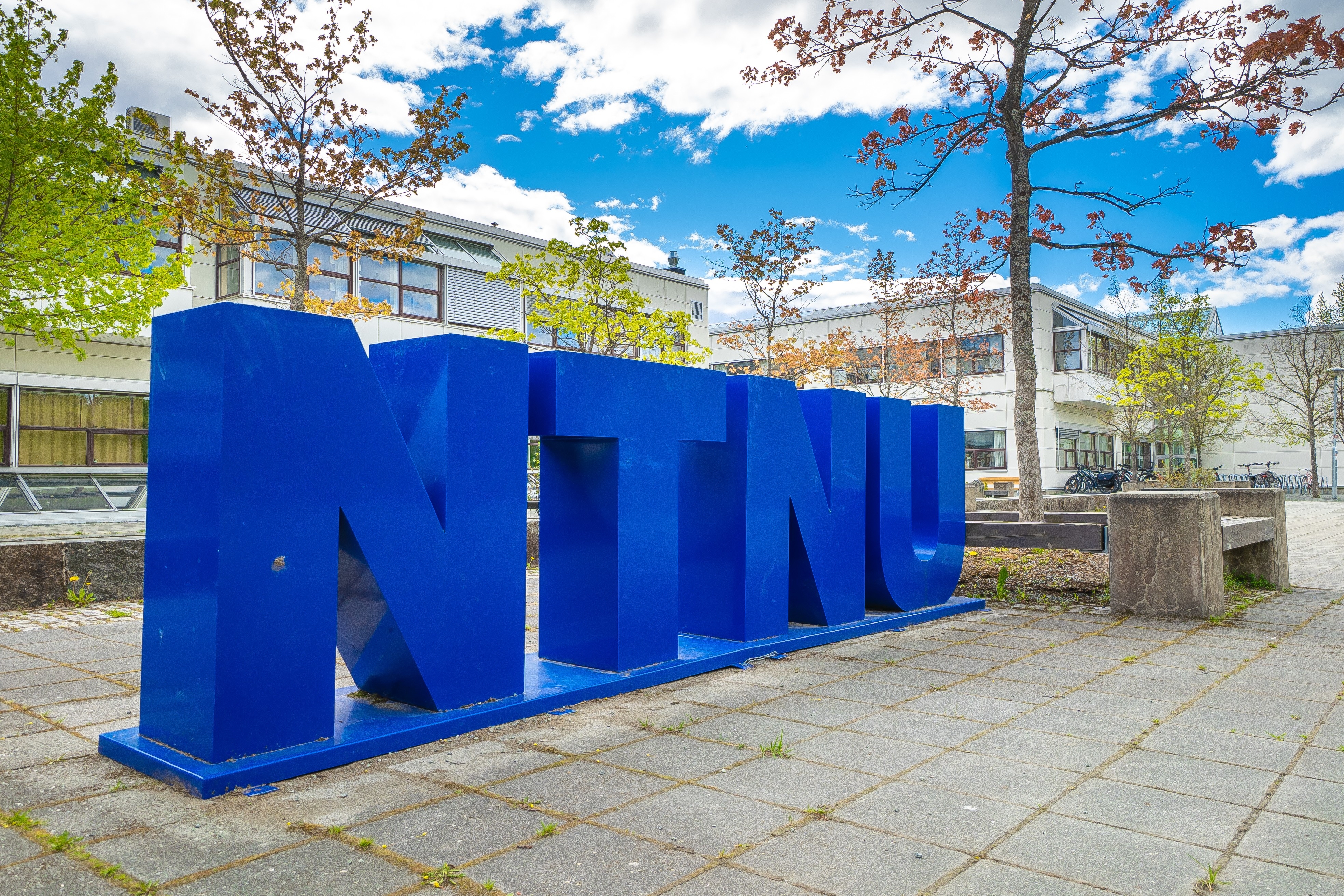 Foto: Felix Seifert/NTNU