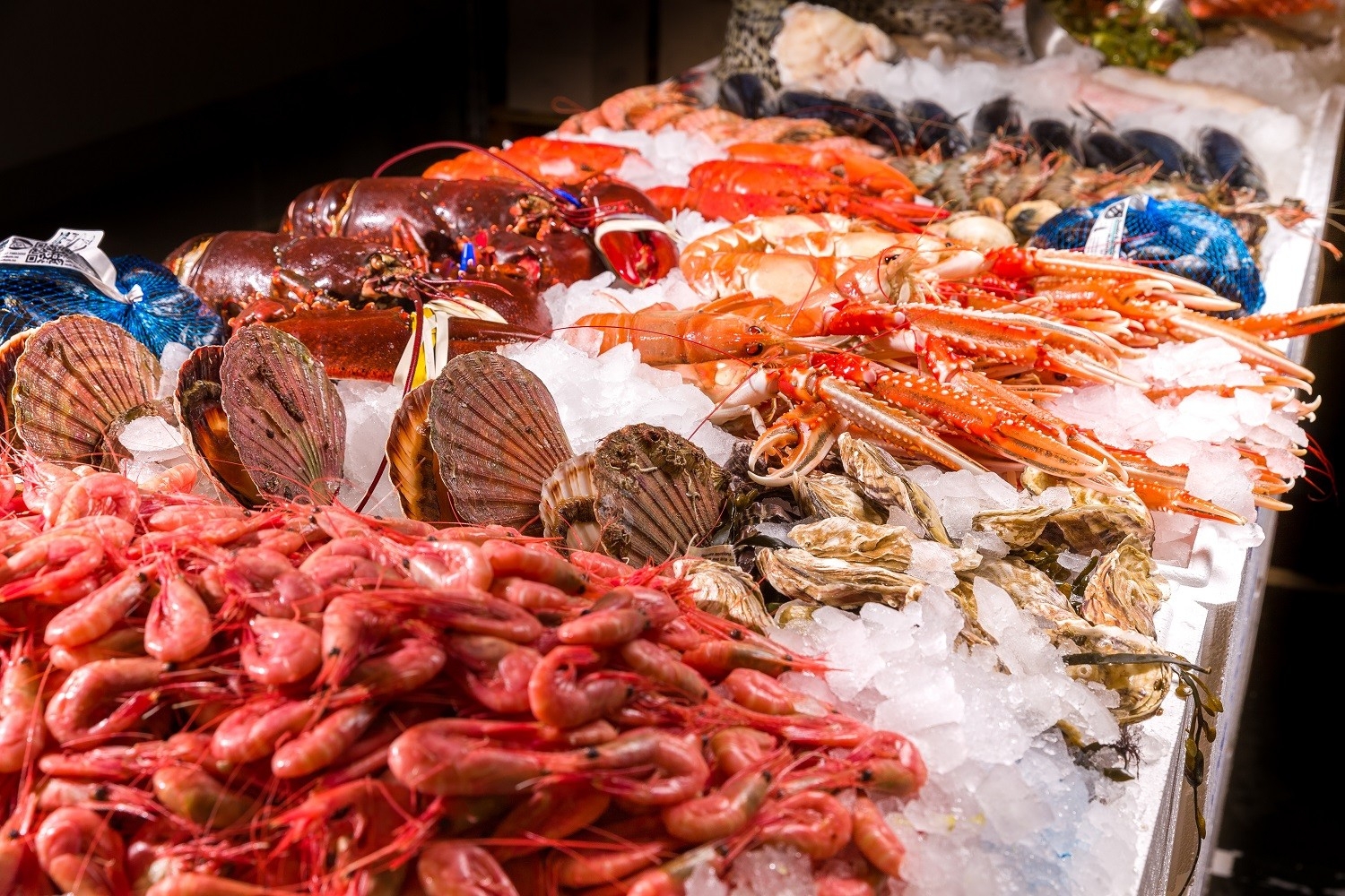 company cover image