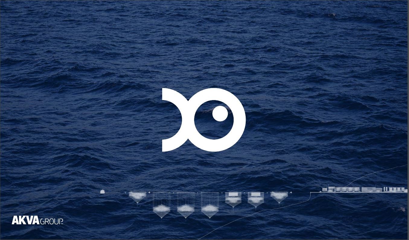 company cover image