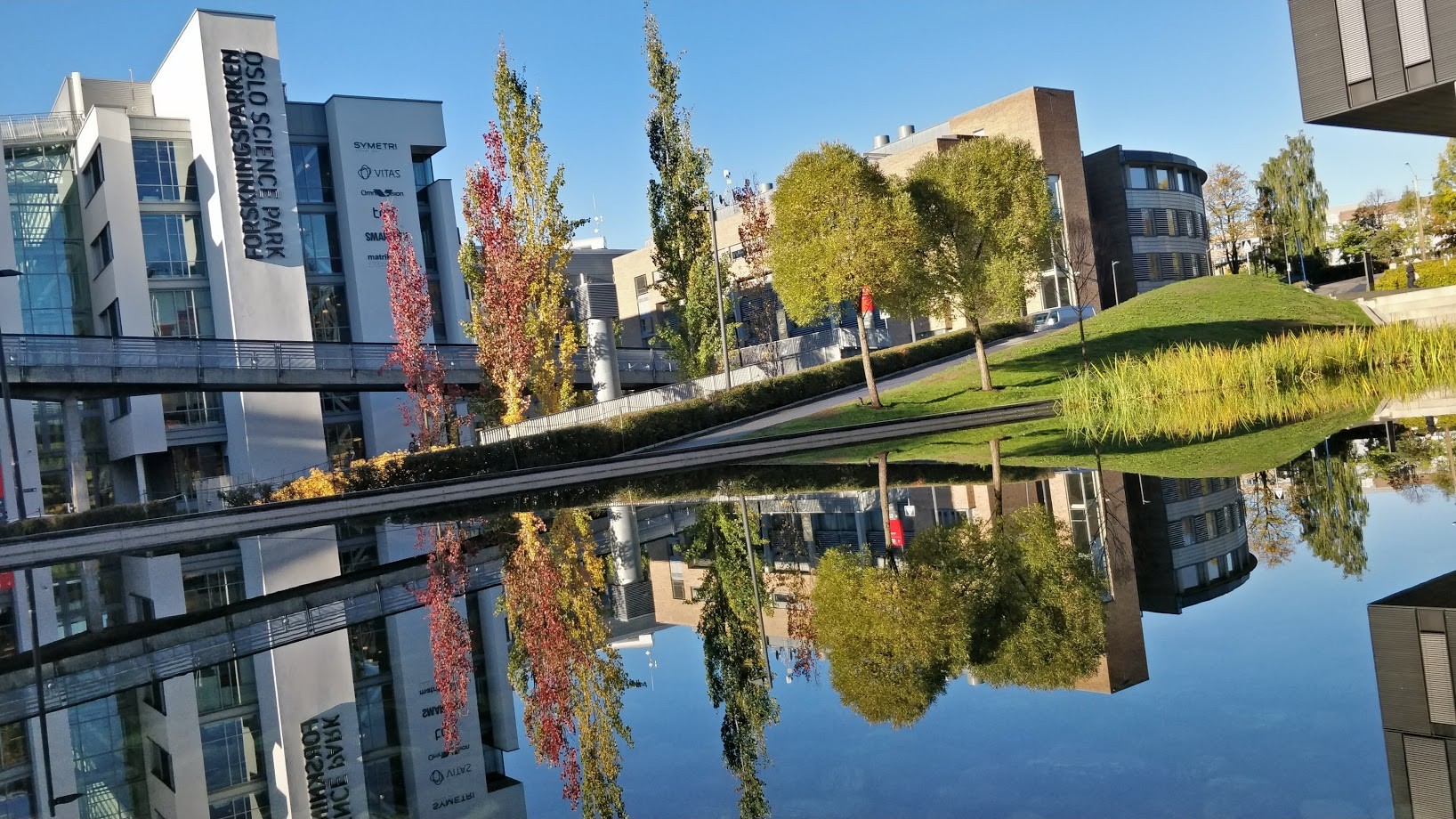company cover image