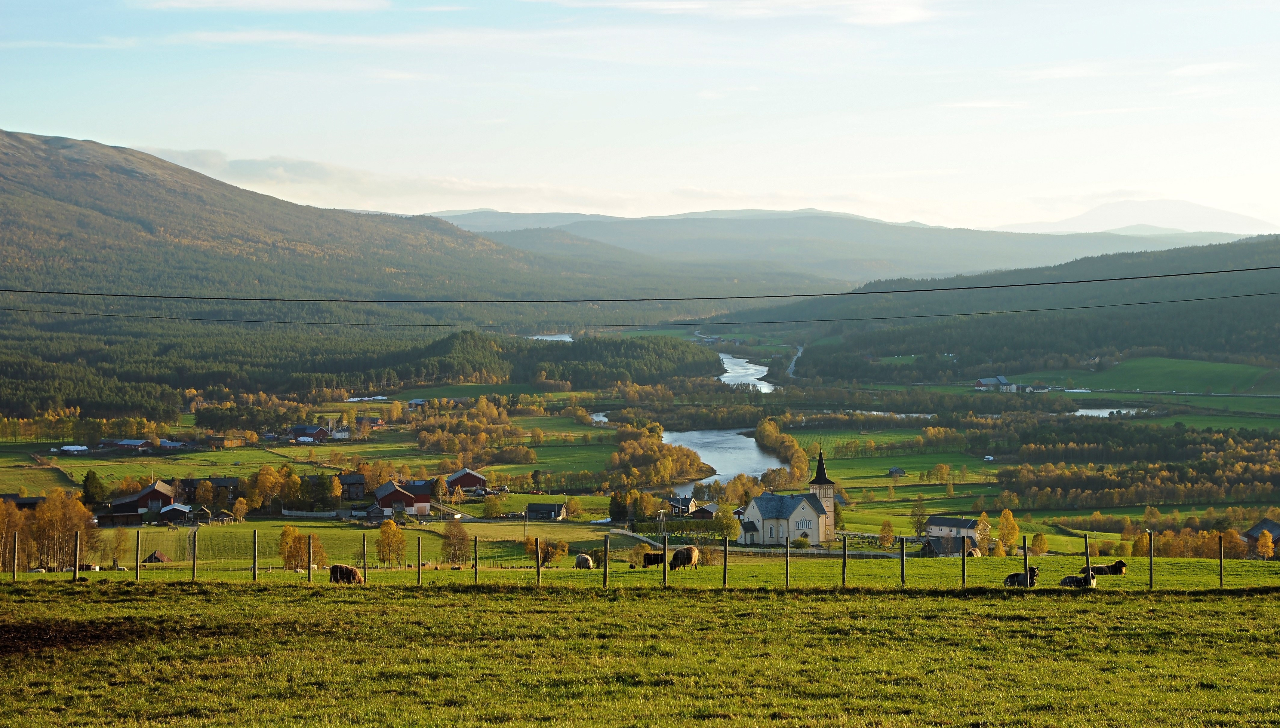 company cover image