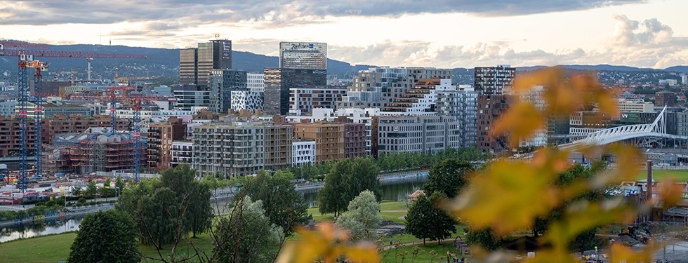 company cover image