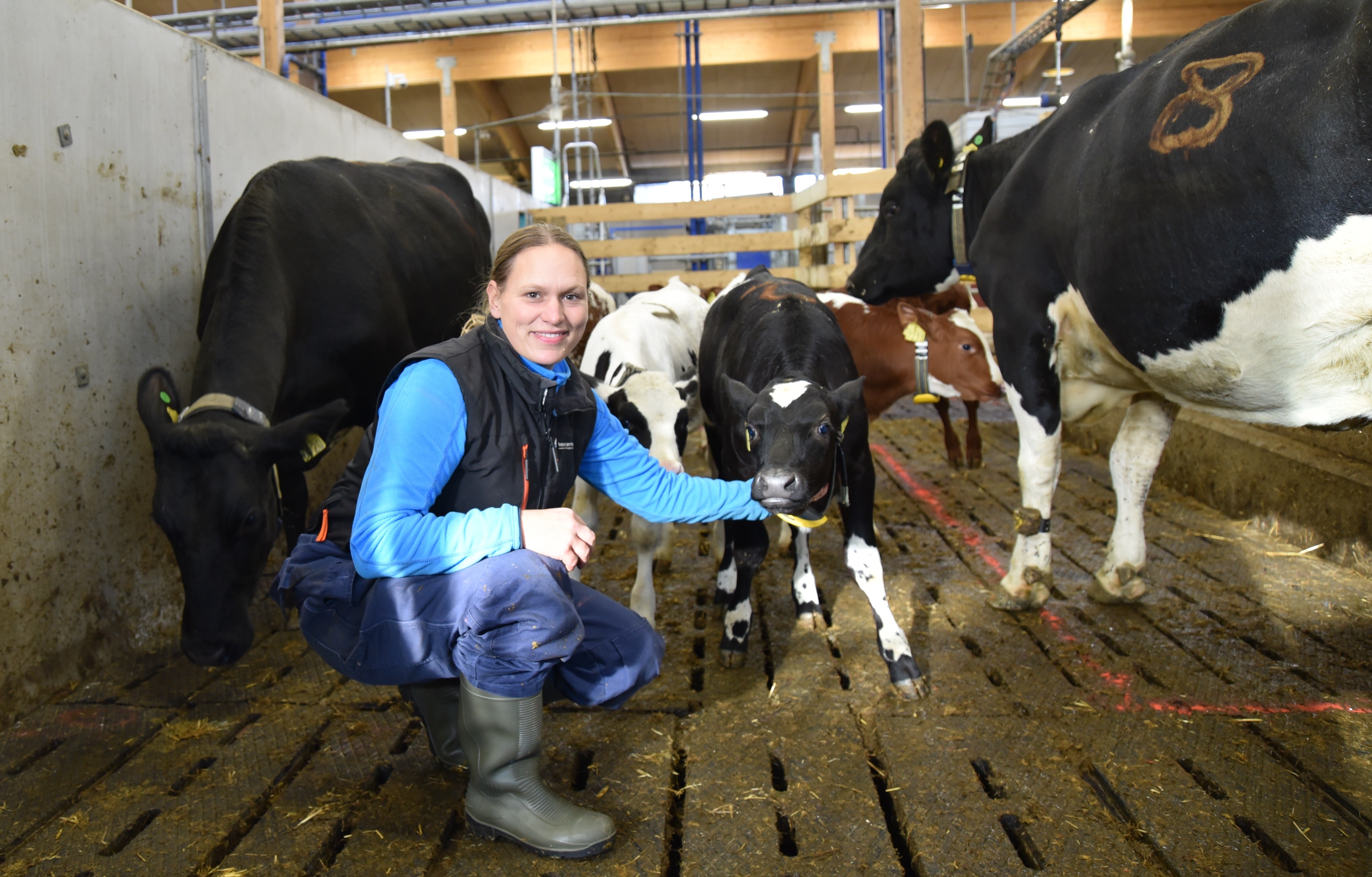 Hos oss jobber vi med forskning, innovasjon, overvåking og risikovurdering for god dyrehelse. 