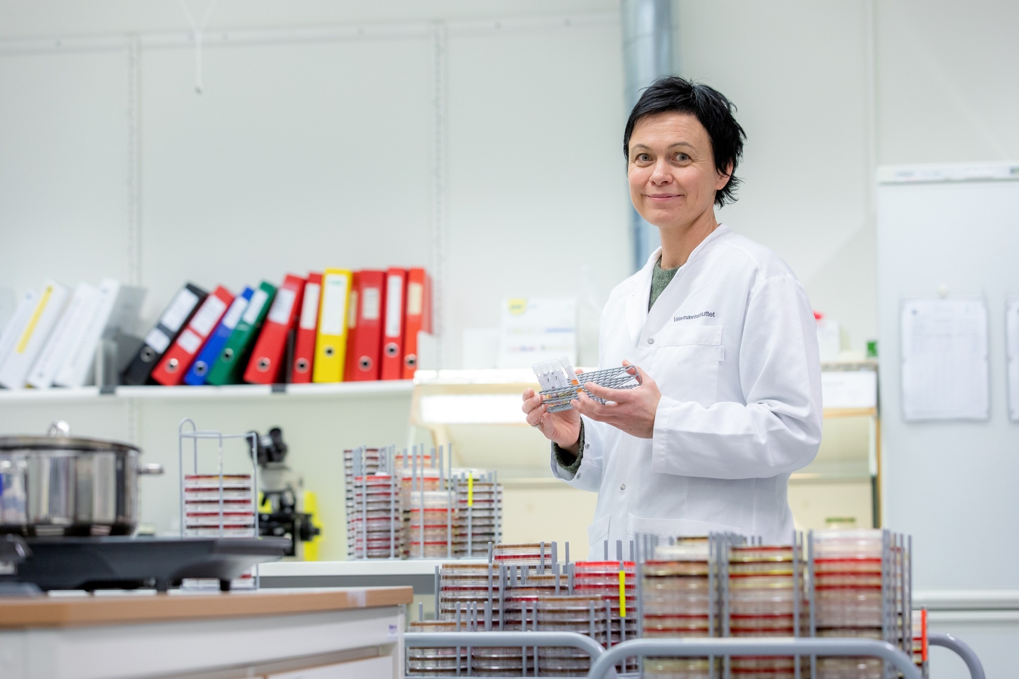 Våre ansatte bygger kunnskap for å avverge helsetrusler mot dyr og mennesker.