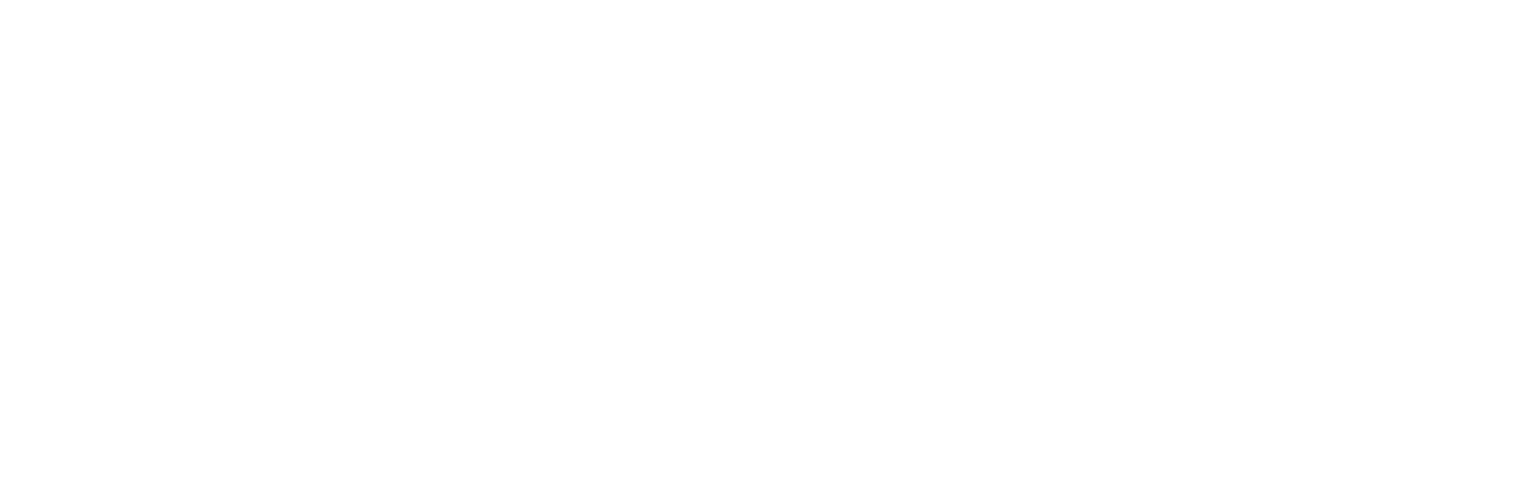 company logo image 