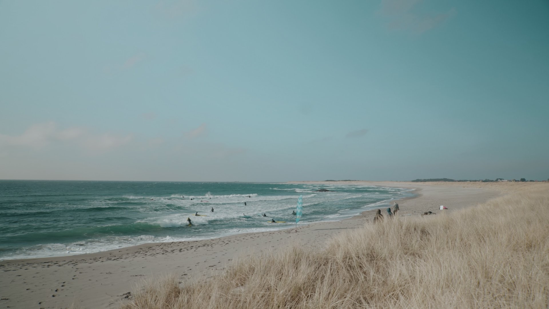 company cover image