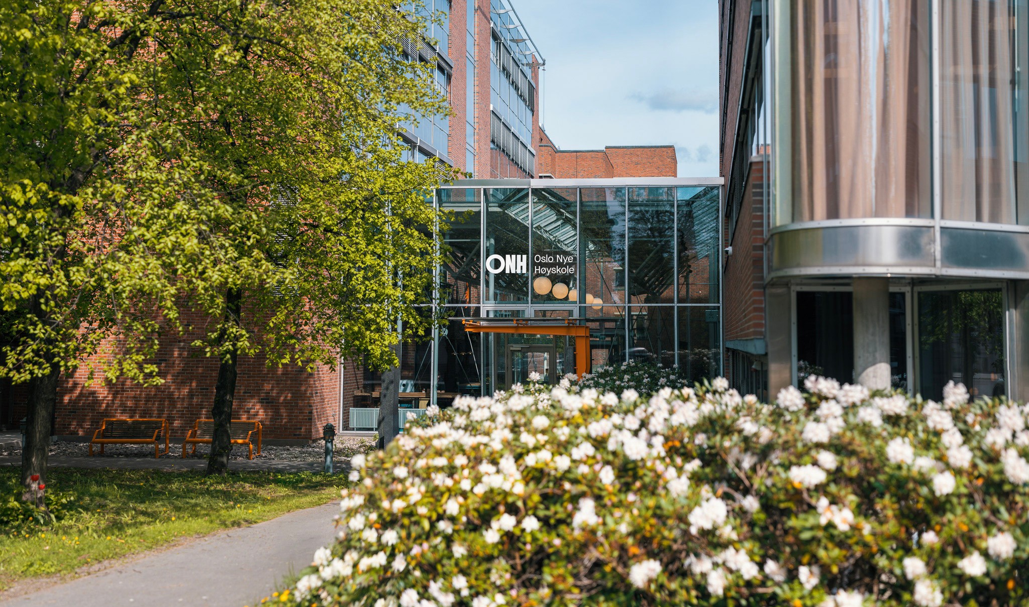 company cover image