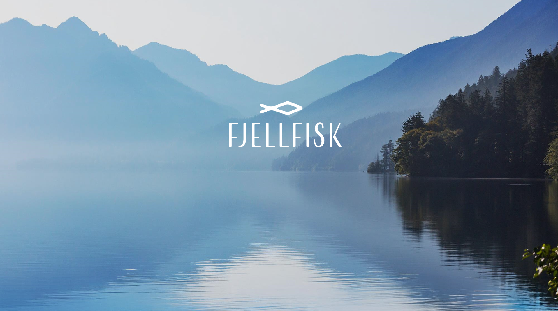 company cover image