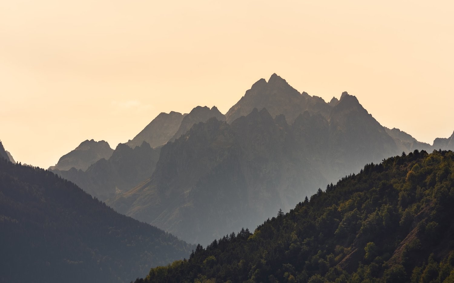 company cover image