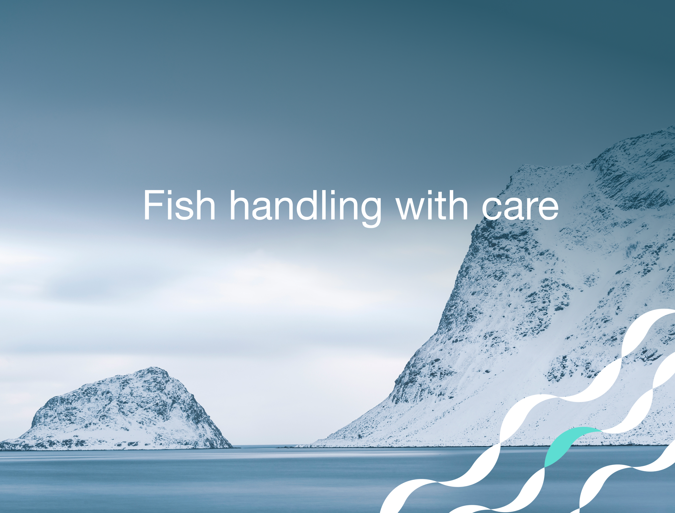 company cover image