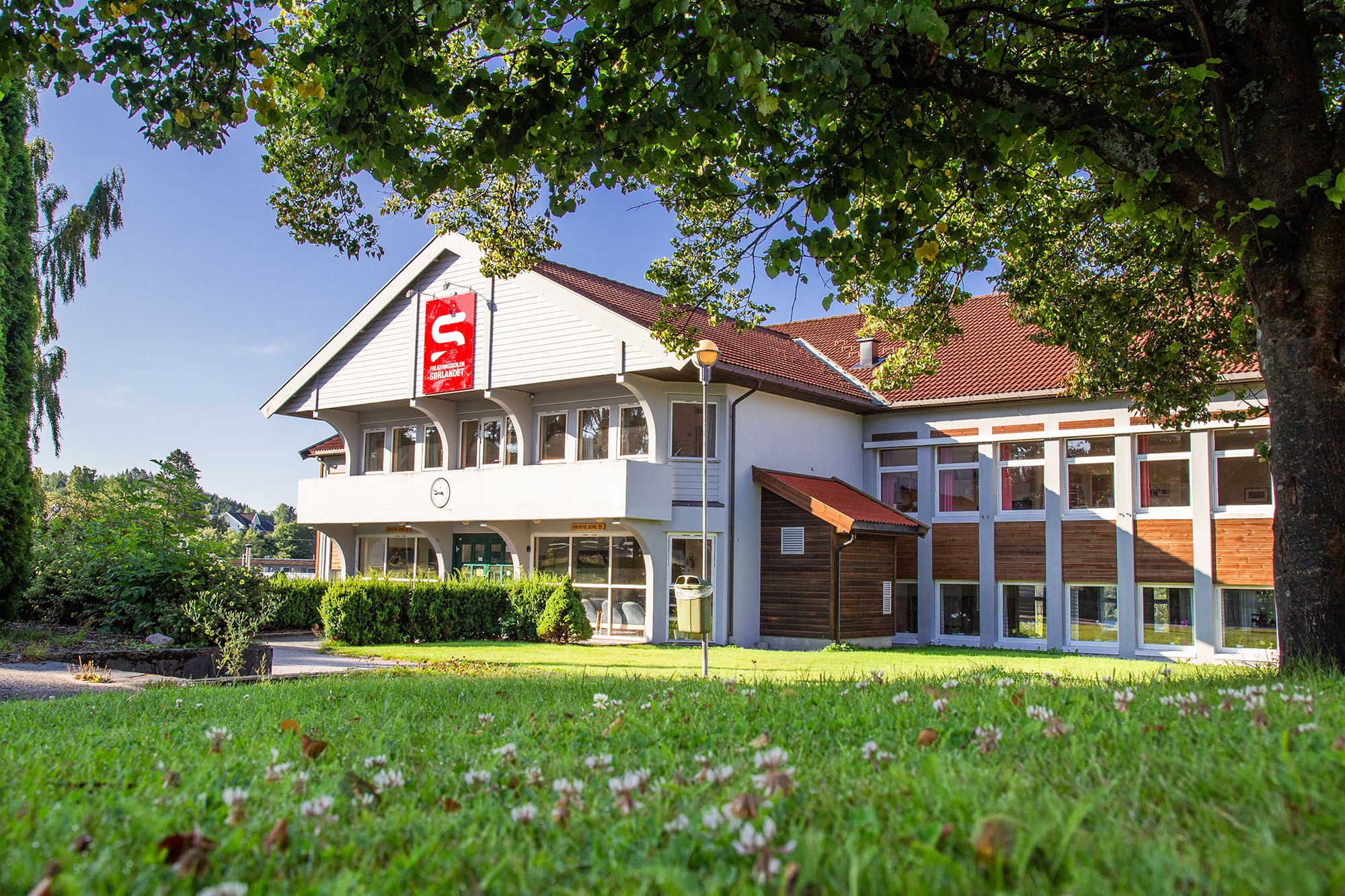 company cover image