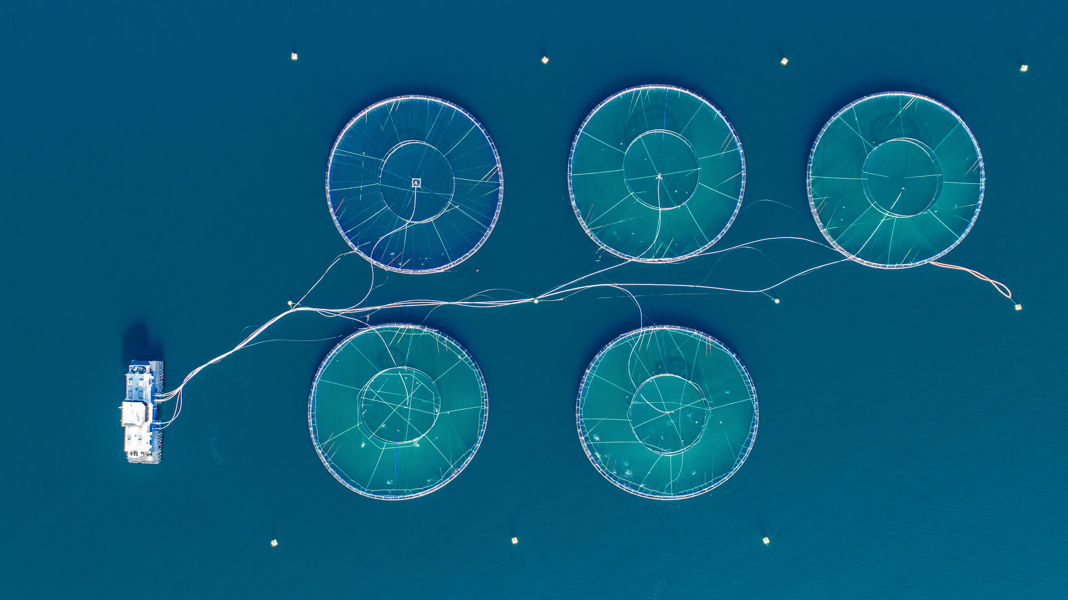 company cover image