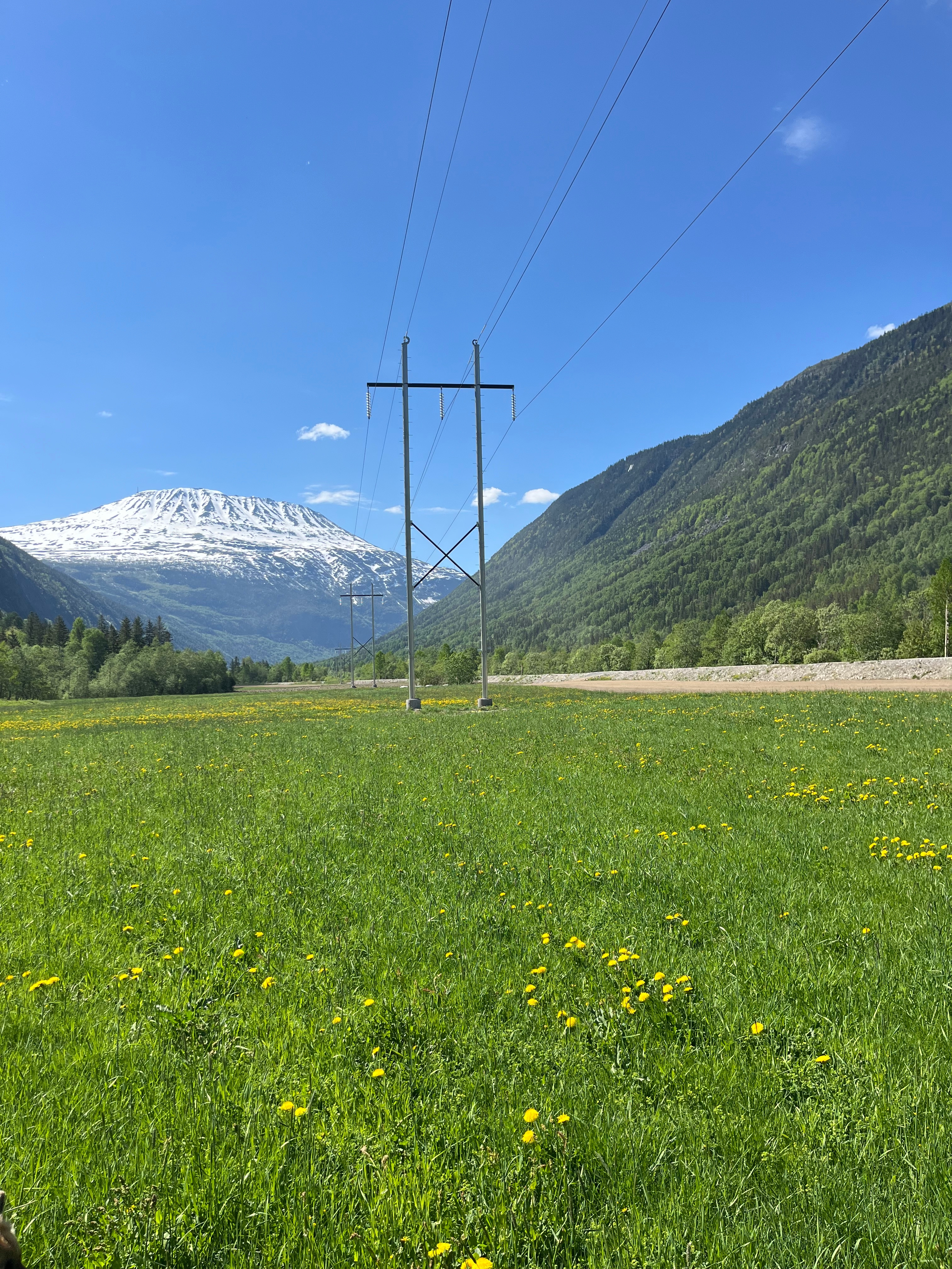 company cover image
