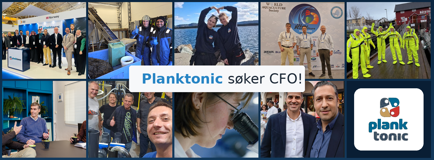company cover image