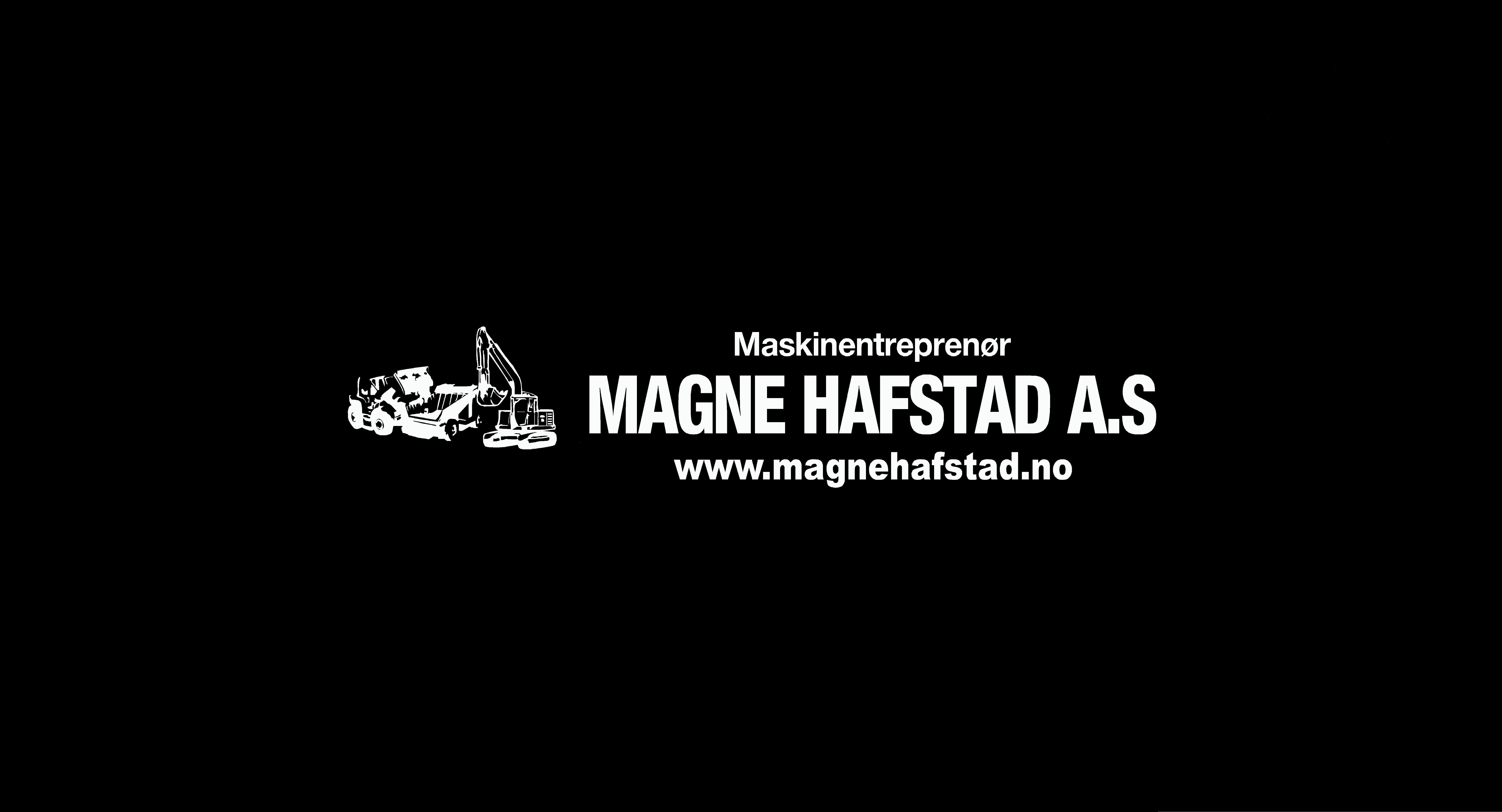 company logo image 