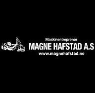 company logo image