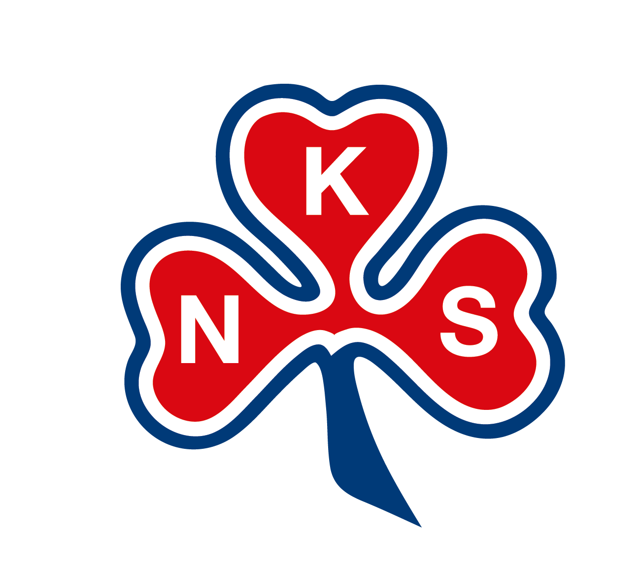 company logo image 
