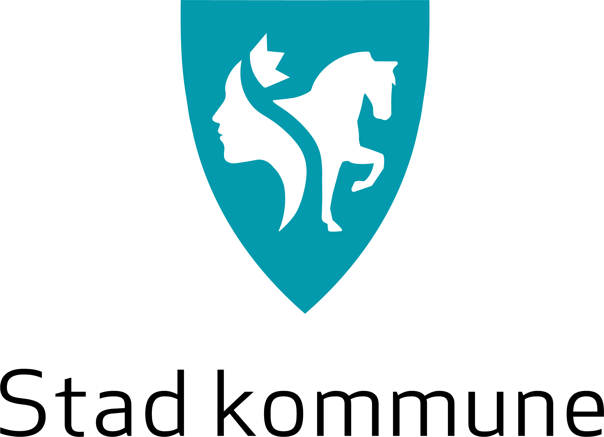 company logo image 