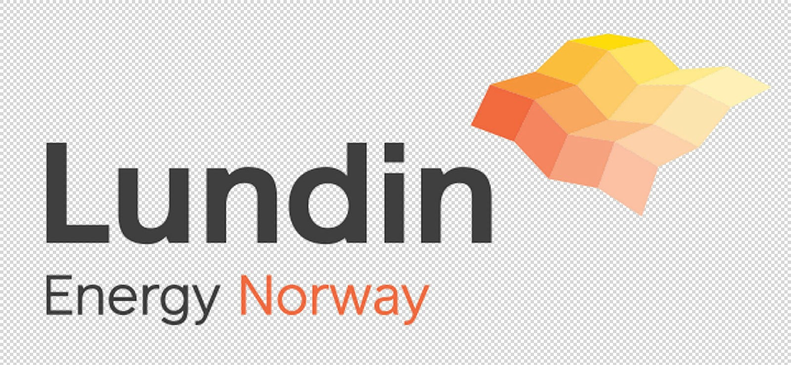 company logo image 