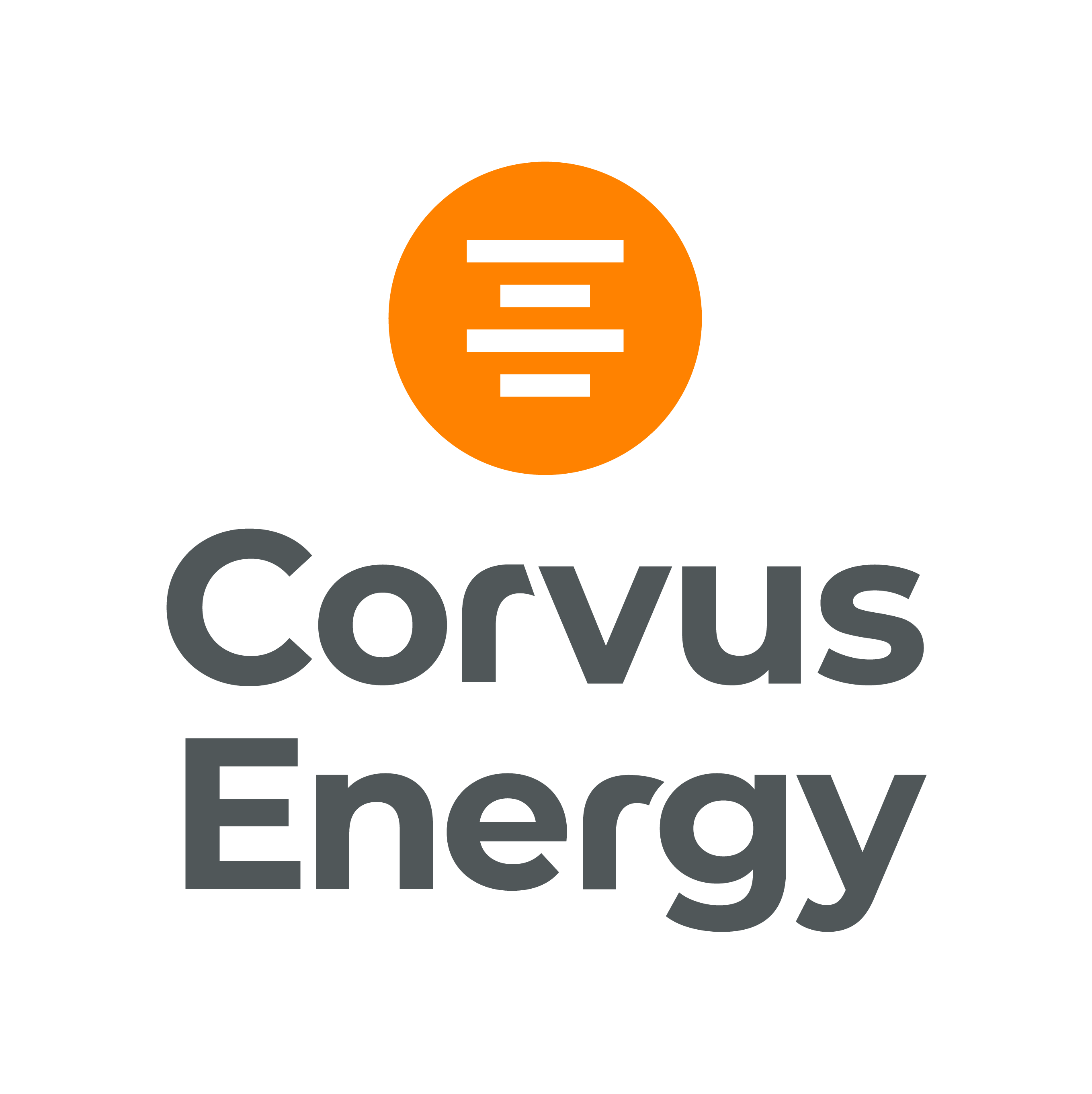 company logo image 