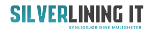 company logo image 