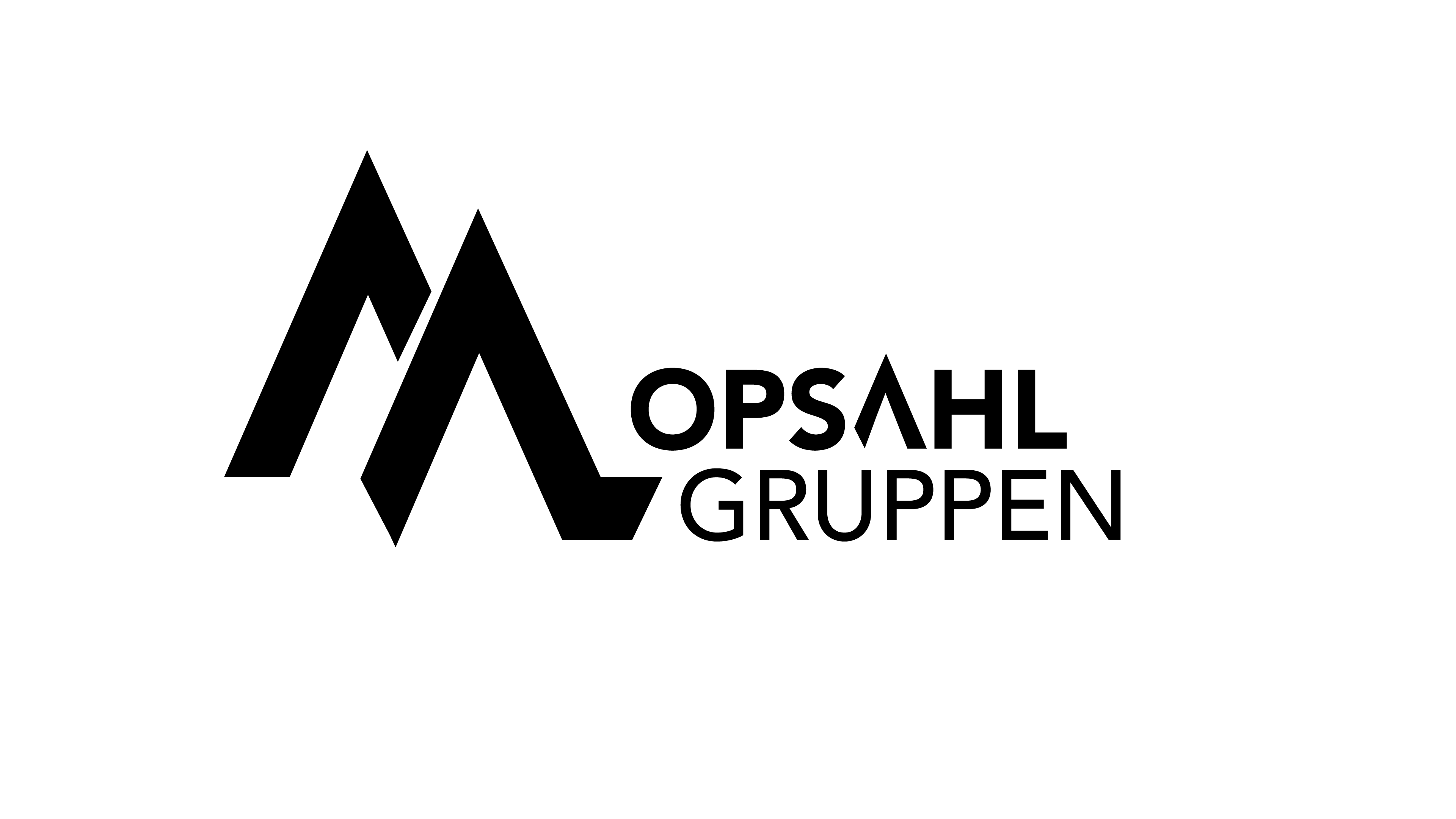 company logo image 