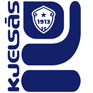 company logo image 