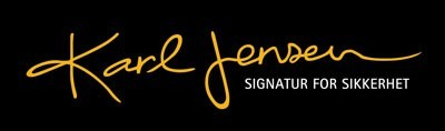 company logo image 