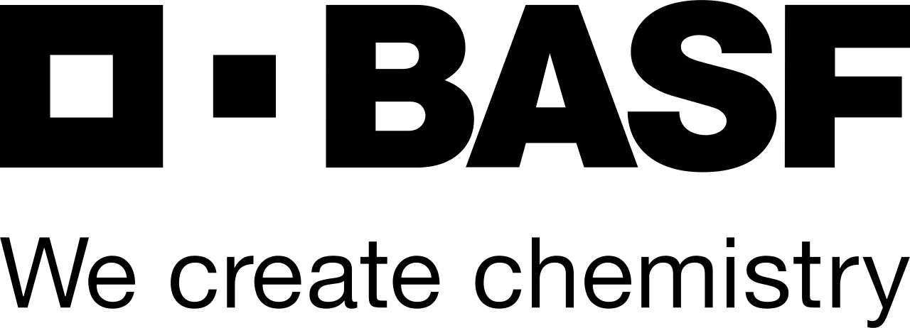 company logo image 