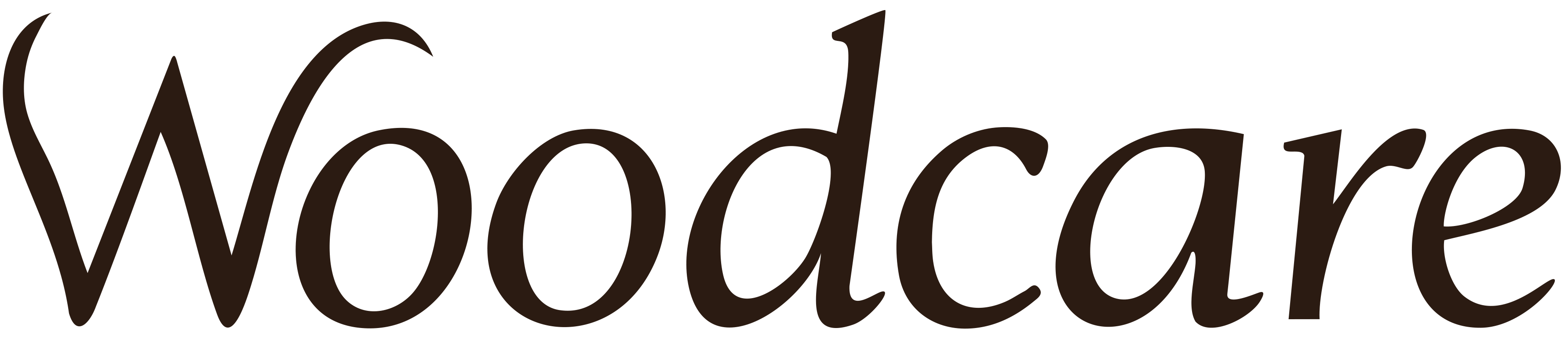 company logo image 