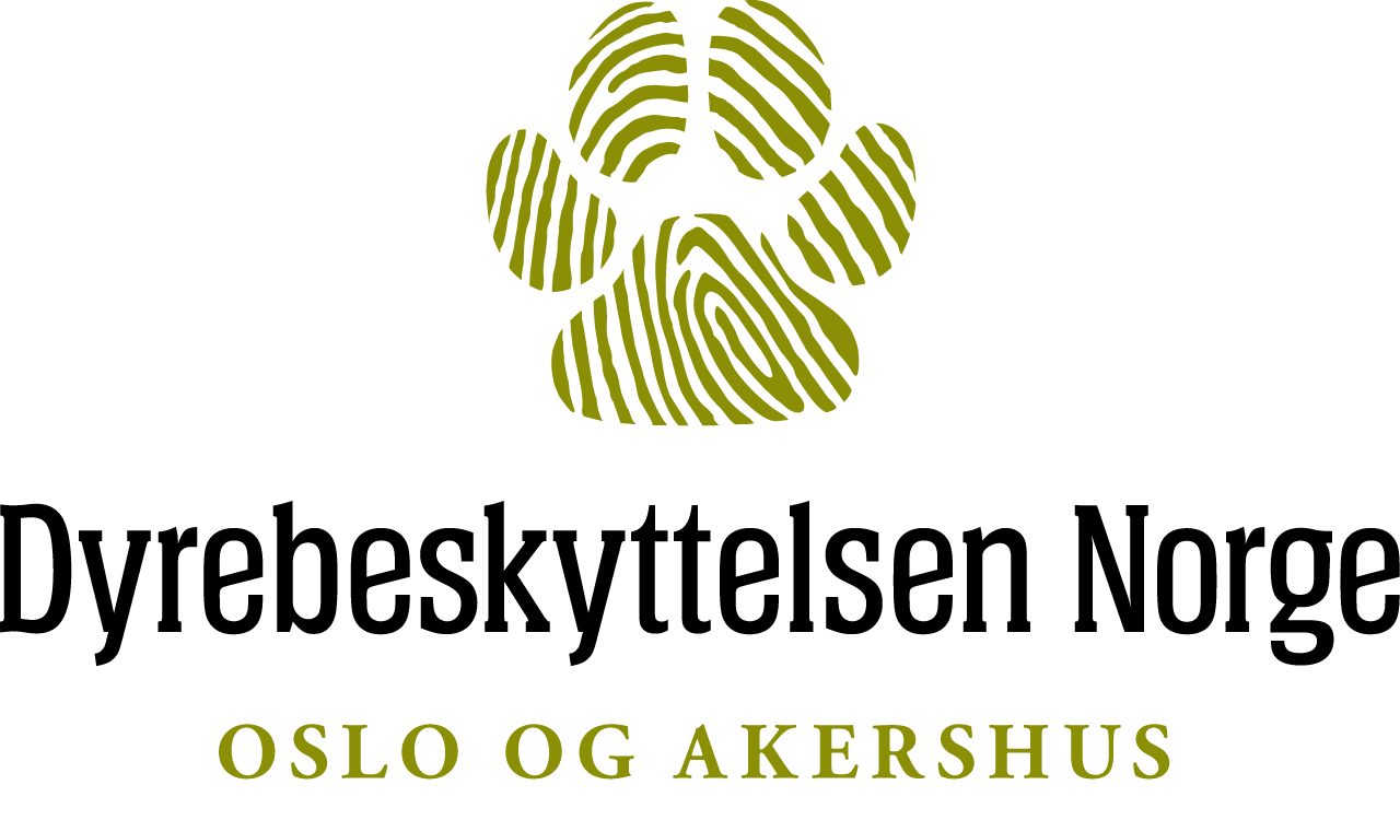 company logo image 