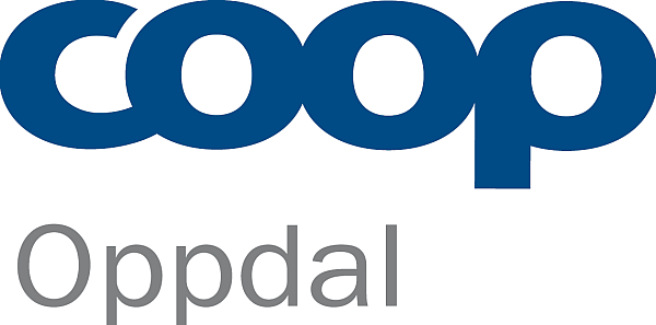 company logo image 