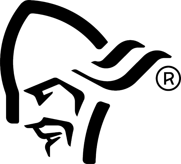 company logo image 