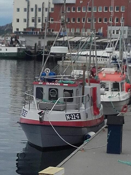 Viksund proff 1000