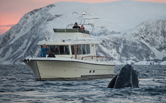 Norges fineste Targa 44