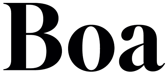 Logo for Boa Eiendomsmegling .