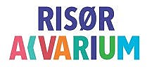 Profilbilde for butikken Stiftelsen Risør Akvarium
