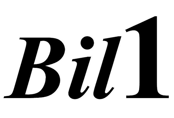 Bil 1 AS