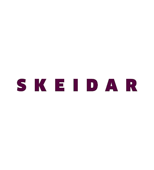 Skeidar logo